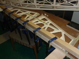 Ruder and elevator (211)